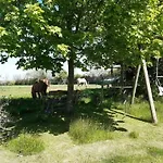 Prázdninový dům Dorpsbeauty Aan De Oostzee Rellin