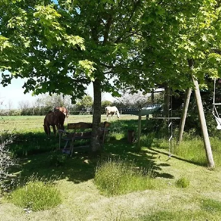 Ferienhaus Dorpsbeauty Aan De Oostzee Rellin
